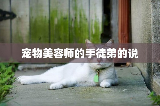 寵物美容師的手徒弟的說