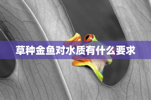草種金魚對水質有什么要求