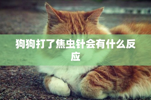 狗狗打了焦蟲針會有什么反應
