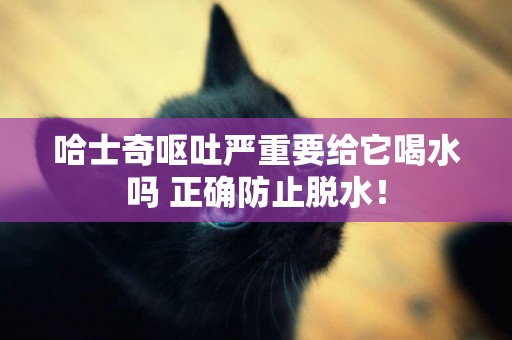 哈士奇嘔吐嚴重要給它喝水嗎 正確防止脫水！