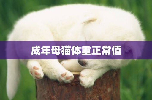 成年母貓體重正常值