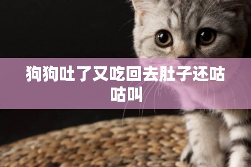 狗狗吐了又吃回去肚子還咕咕叫