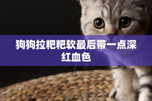 狗狗拉粑粑軟最后帶一點深紅血色
