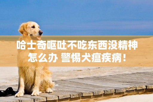 哈士奇嘔吐不吃東西沒精神怎么辦 警惕犬瘟疾病！