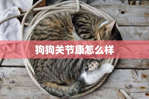 狗狗關節康怎么樣