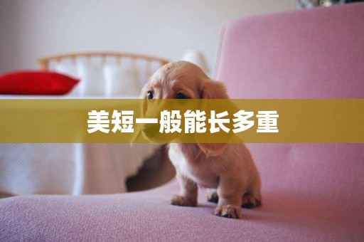 美短一般能長多重