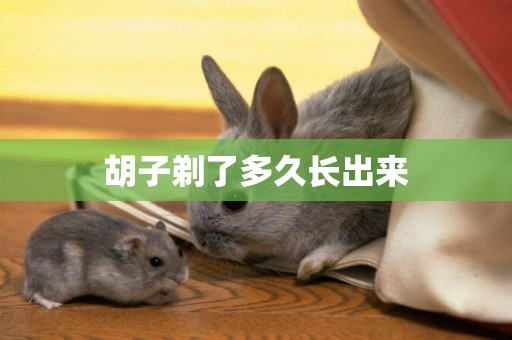 胡子剃了多久長出來