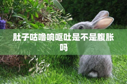 肚子咕嚕響嘔吐是不是腹脹嗎