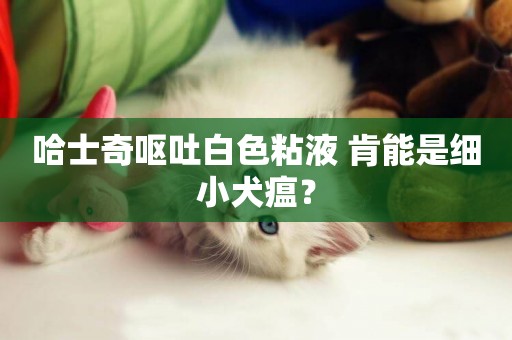 哈士奇嘔吐白色粘液 肯能是細小犬瘟? 哈士奇嘔吐白色粘液 肯能是細小犬瘟?