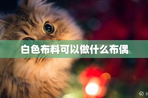 白色布料可以做什么布偶