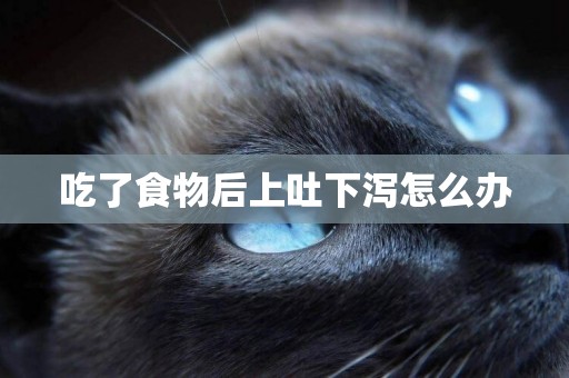 吃了食物后上吐下瀉怎么辦