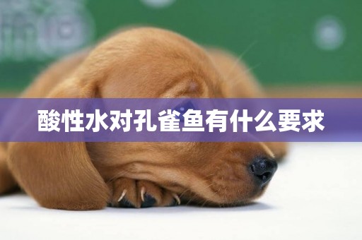 酸性水對孔雀魚有什么要求