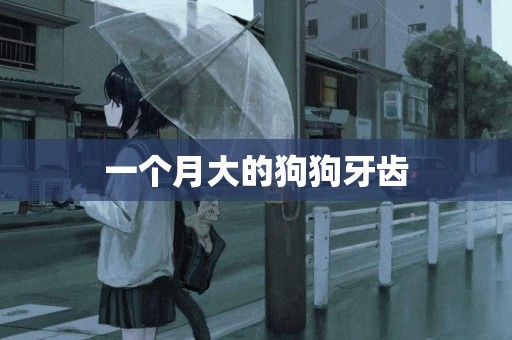 一個月大的狗狗牙齒