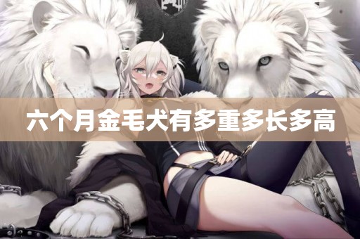 六個月金毛犬有多重多長多高