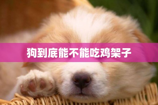 狗到底能不能吃雞架子