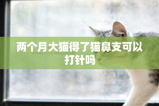 兩個月大貓得了貓鼻支可以打針嗎