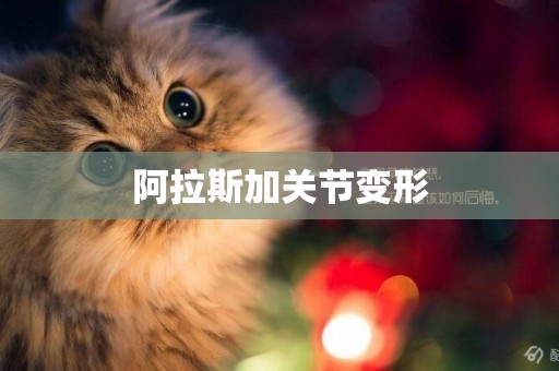 阿拉斯加關節變形