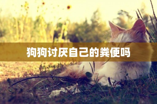 狗狗討厭自己的糞便嗎