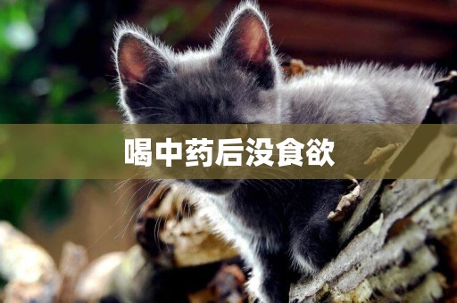 喝中藥后沒食欲