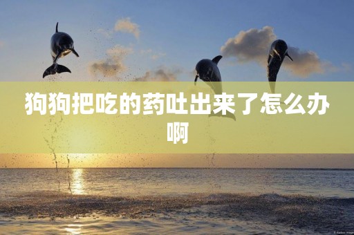 狗狗把吃的藥吐出來了怎么辦啊