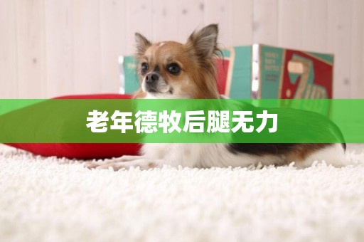 老年德牧后腿無力