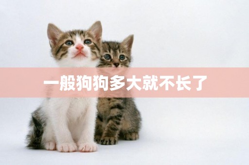 一般狗狗多大就不長了