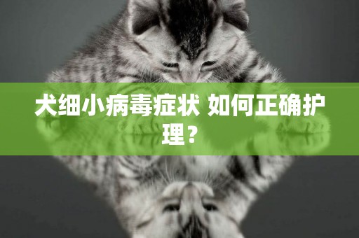 犬細小病毒癥狀 如何正確護理？