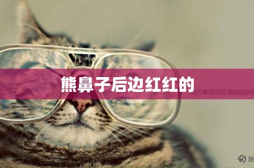 熊鼻子后邊紅紅的