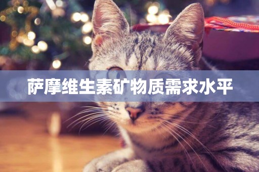 薩摩維生素礦物質需求水平