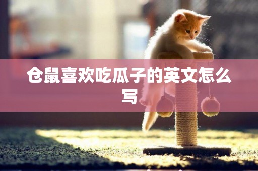 倉鼠喜歡吃瓜子的英文怎么寫