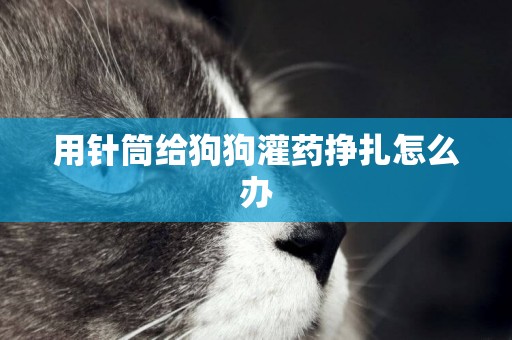 用針筒給狗狗灌藥掙扎怎么辦
