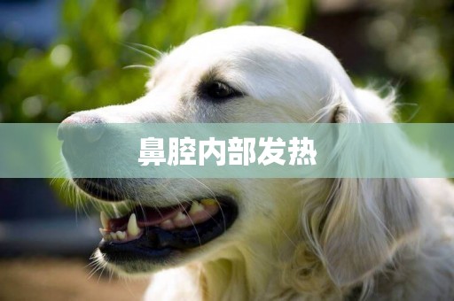 鼻腔內部發熱