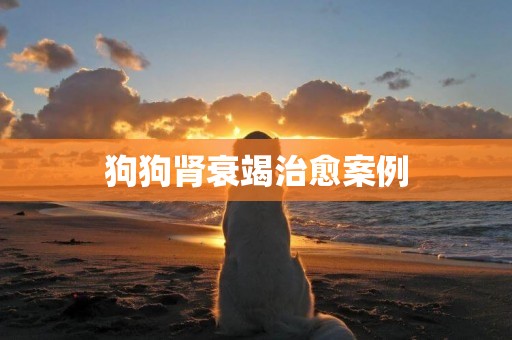 狗狗腎衰竭治愈案例