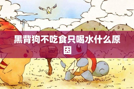 黑背狗不吃食只喝水什么原因