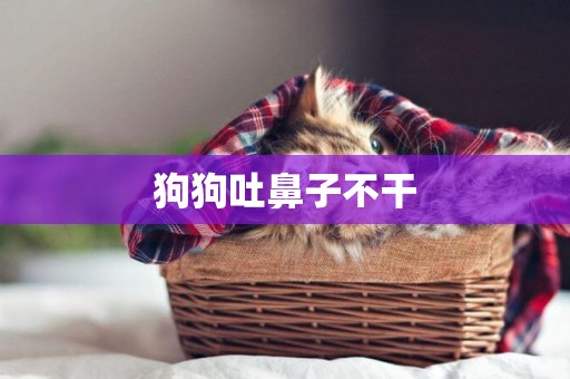 狗狗吐鼻子不干