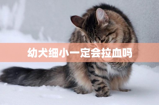 幼犬細小一定會拉血嗎