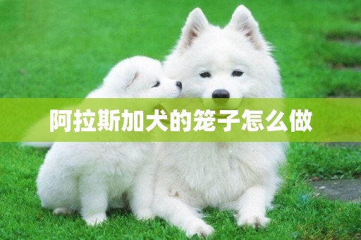 阿拉斯加犬的籠子怎么做