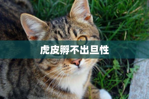 虎皮孵不出旦性