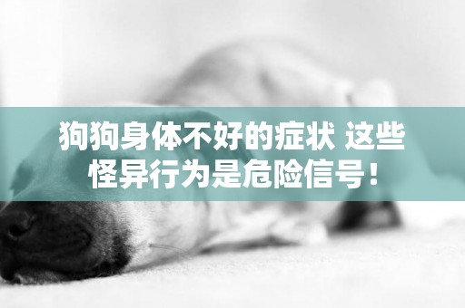 狗狗身體不好的癥狀 這些怪異行為是危險信號！