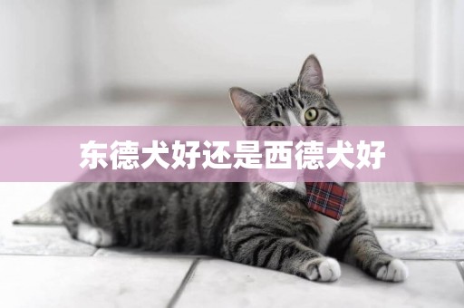 東德犬好還是西德犬好