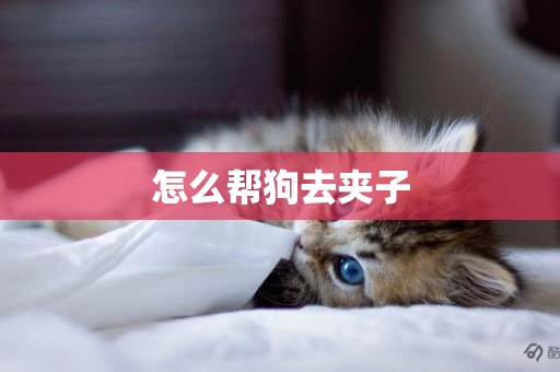 怎么幫狗去夾子