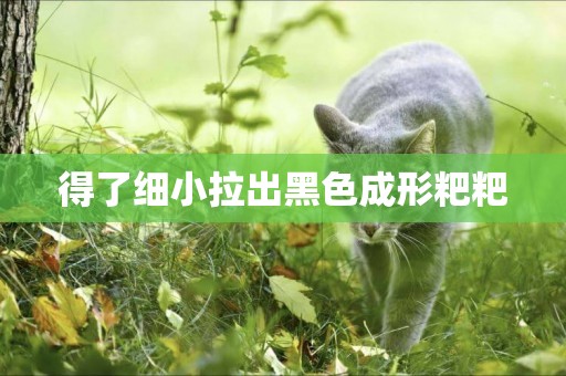 得了細小拉出黑色成形粑粑