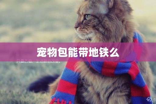 寵物包能帶地鐵么