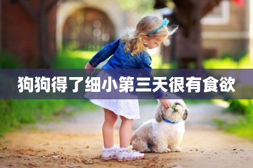 狗狗得了細小第三天很有食欲