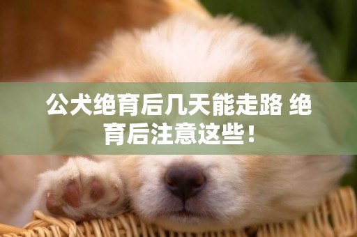 公犬絕育后幾天能走路 絕育后注意這些！