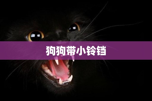 狗狗帶小鈴鐺