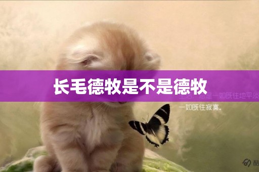 長毛德牧是不是德牧