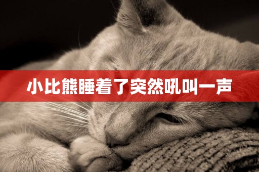 小比熊睡著了突然吼叫一聲