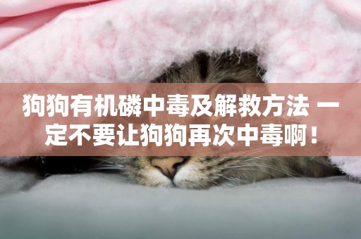 狗狗有機磷中毒及解救方法 一定不要讓狗狗再次中毒啊！