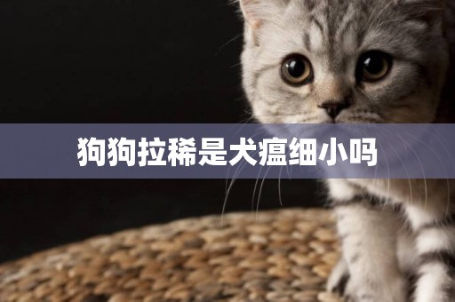 狗狗拉稀是犬瘟細小嗎